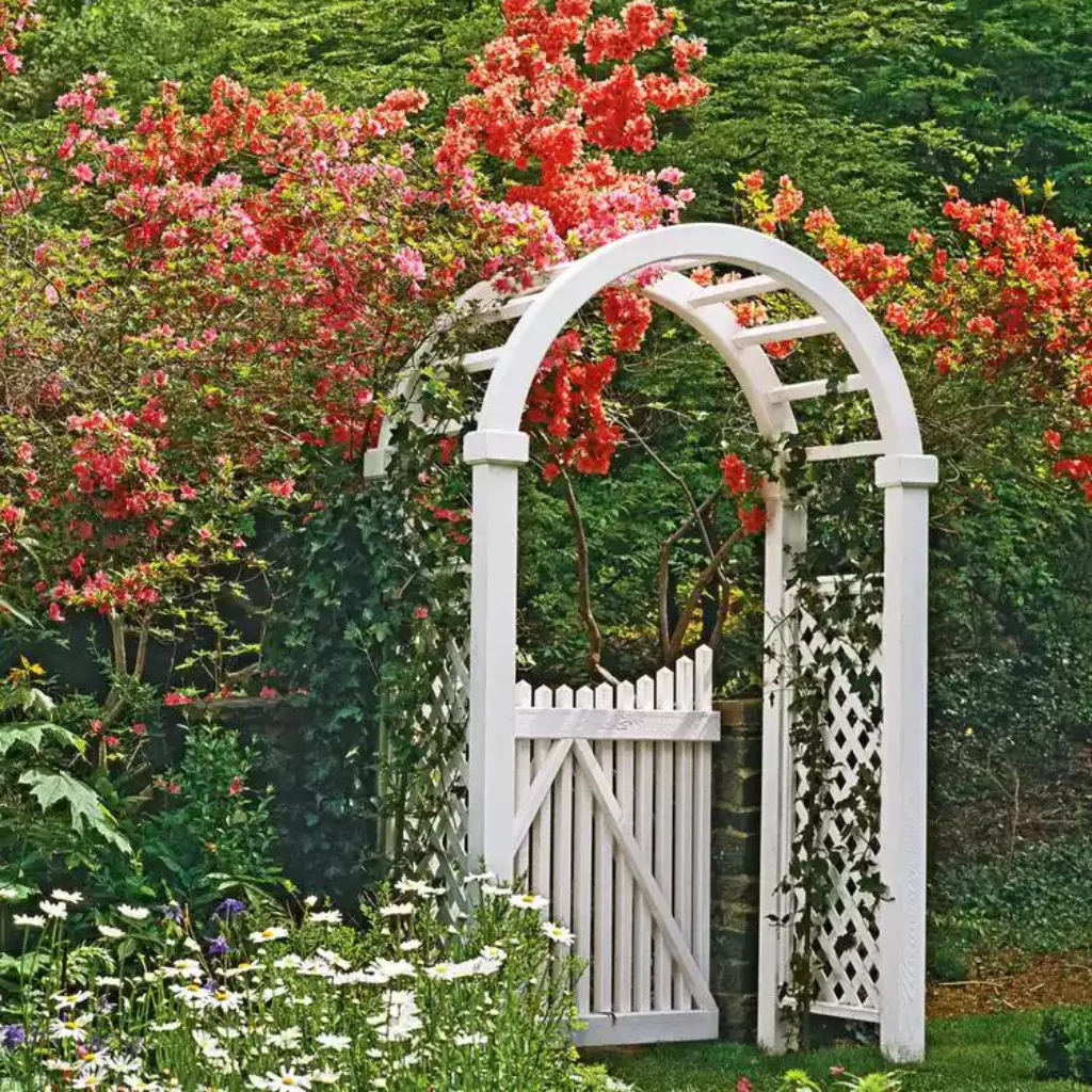 A arbor with flowering vines at the entrance of a patio