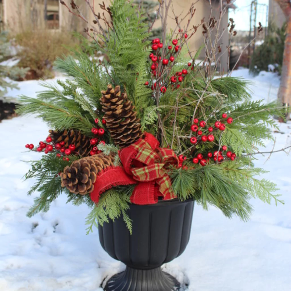 A pot with winter plants in a patio.