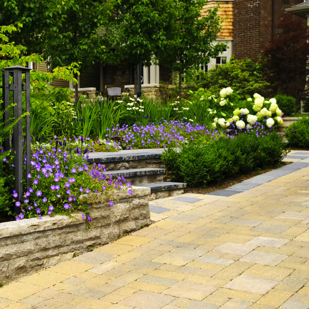 Pavers and stone wall in a garden