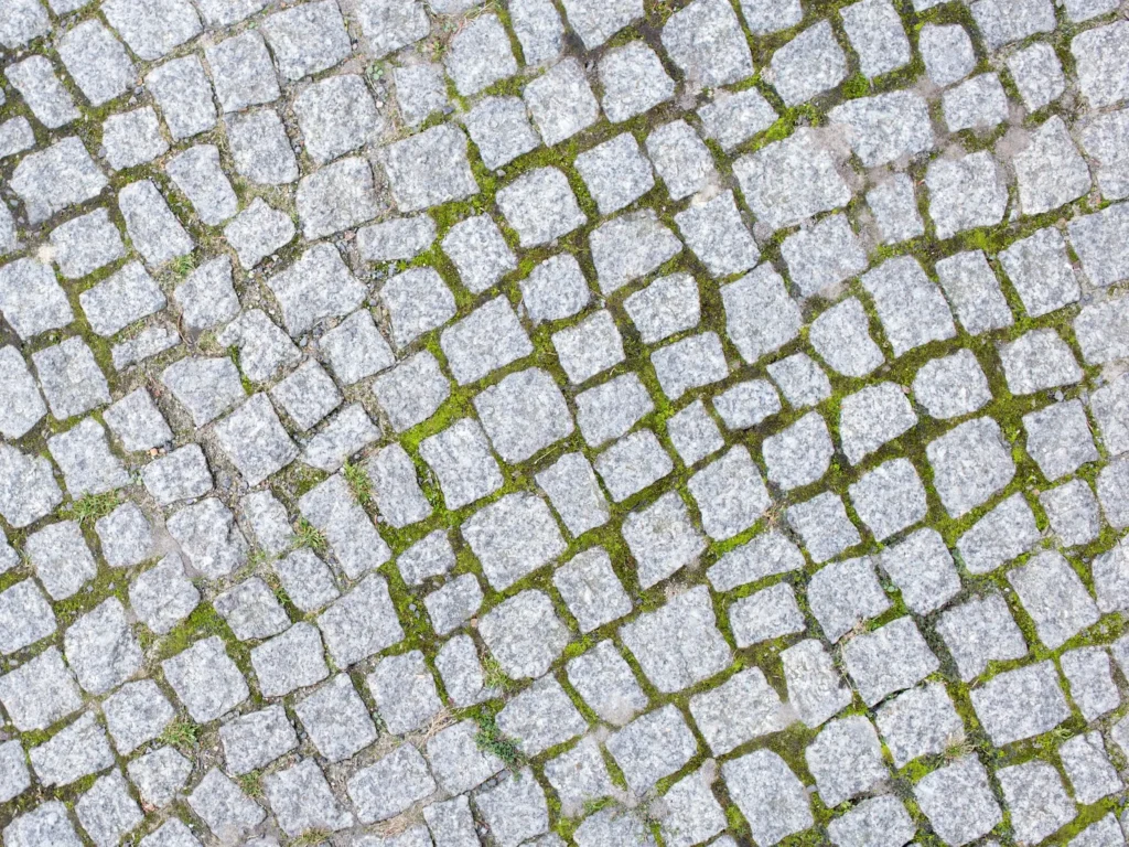 Spring-Ready Patios Start in Winter: What to Plan Now 2 Natural stone permeable hardscaping solution from SunSouth Carolinas, showcasing cobblestone-style pavers with wide, vegetated gaps ideal for rustic patios or driveways.
