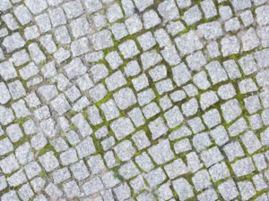 Natural stone permeable hardscaping solution from SunSouth Carolinas, showcasing cobblestone-style pavers with wide, vegetated gaps ideal for rustic patios or driveways.