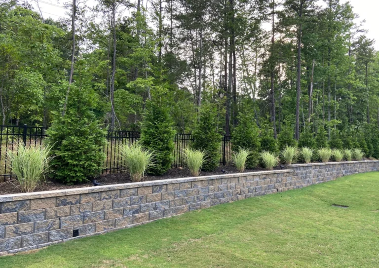 Diseño sin título (16)